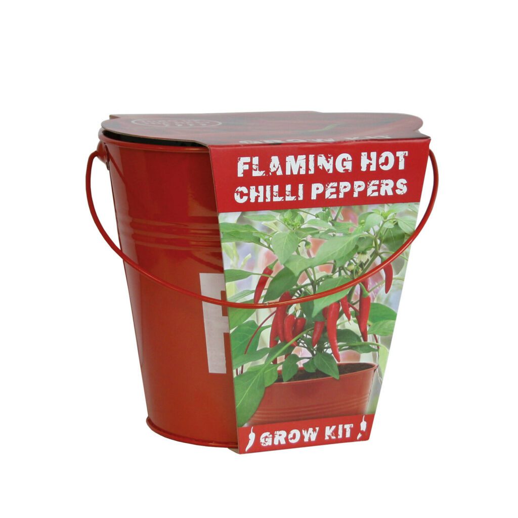 Flaming Hot Fire Bucket Chilli Pepper Seed Grow Kit 5055128619370